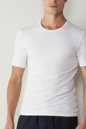 Tricouri Barbati Intimissimi Scurte-Sleeve Modal-Cashmere Albi | RO QZ2993