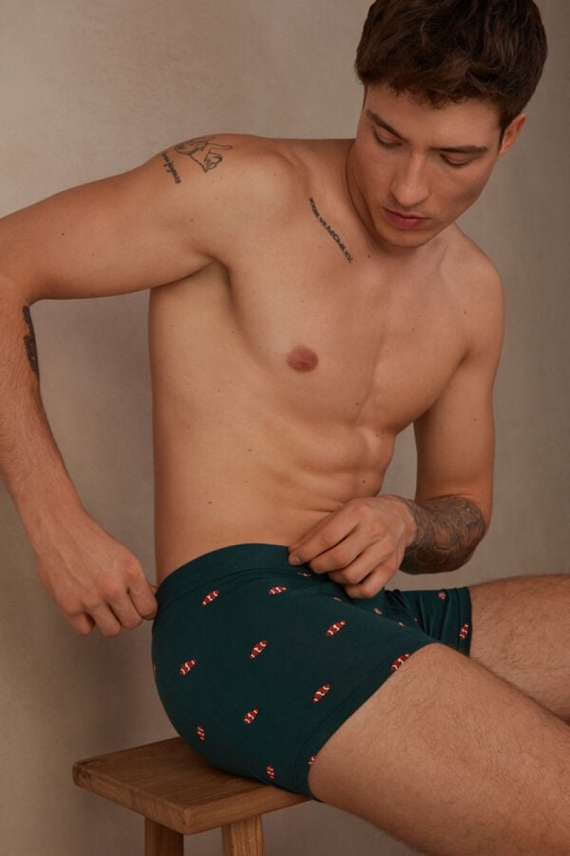 Boxer Barbati Intimissimi Clownfish in Stretch Supima® Bumbac Verzi Inchis | RO UT2650