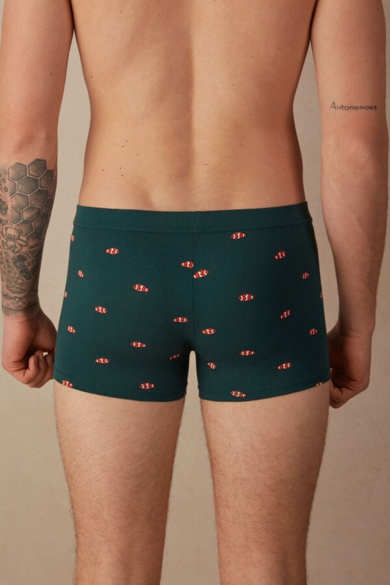 Boxer Barbati Intimissimi Clownfish in Stretch Supima® Bumbac Verzi Inchis | RO UT2650