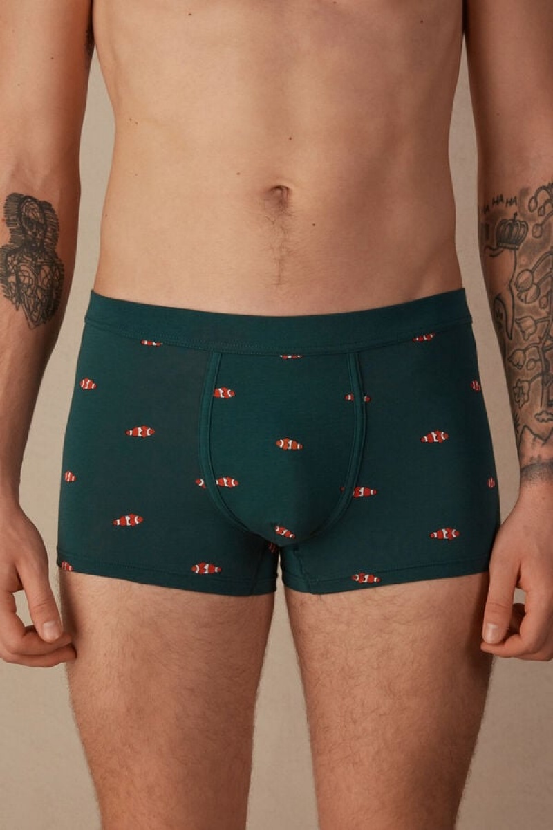 Boxer Barbati Intimissimi Clownfish in Stretch Supima® Bumbac Verzi Inchis | RO UT2650