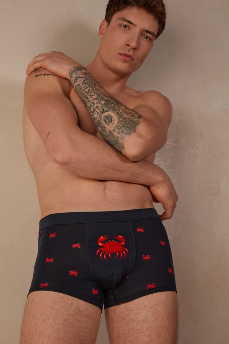 Boxer Barbati Intimissimi Crab in Stretch Supima® Bumbac Albastri | RO IS2649