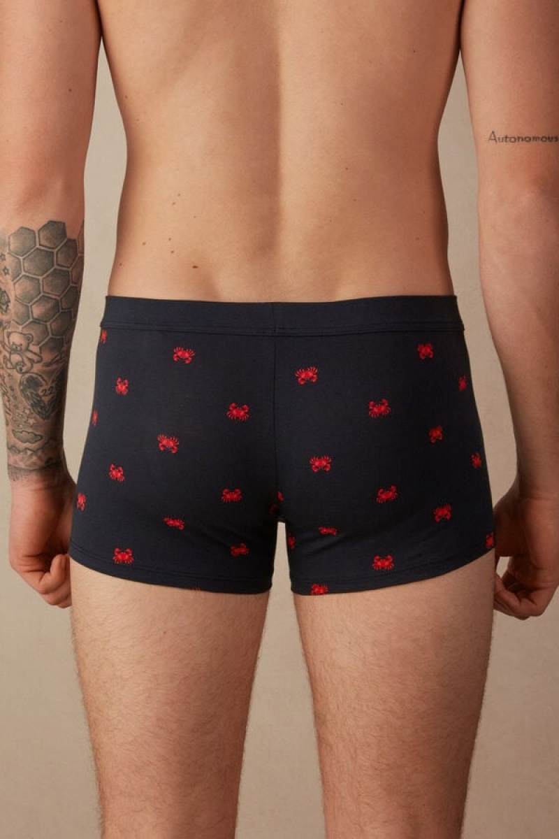 Boxer Barbati Intimissimi Crab in Stretch Supima® Bumbac Albastri | RO IS2649