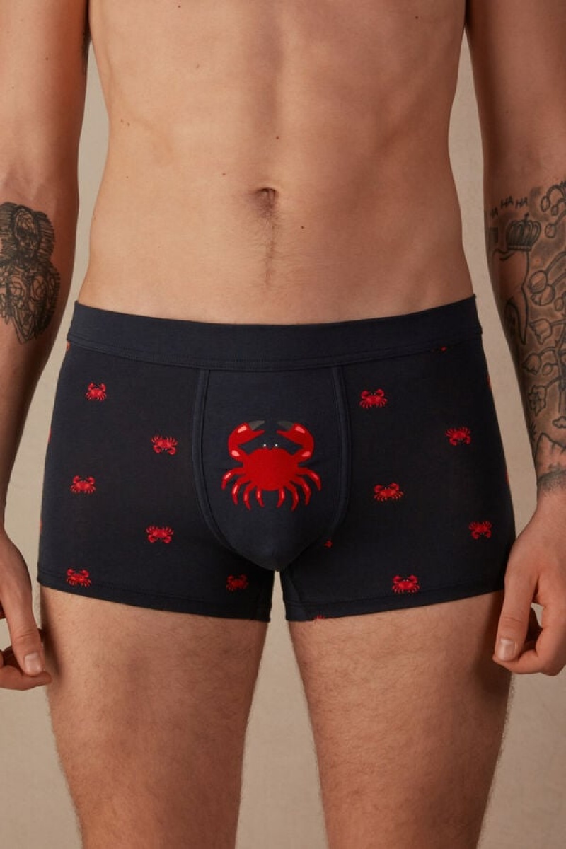 Boxer Barbati Intimissimi Crab in Stretch Supima® Bumbac Albastri | RO IS2649