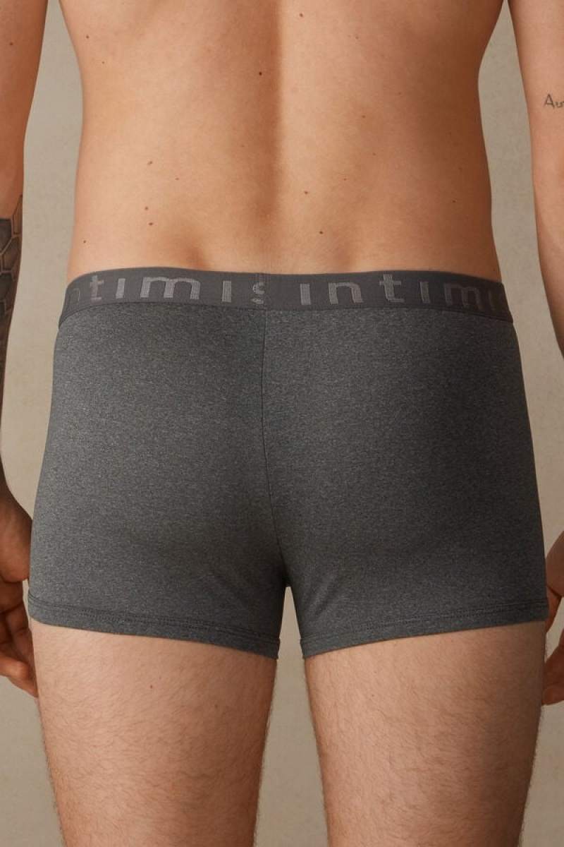 Boxer Barbati Intimissimi Microfiber Logo Shorts Gri Inchis | RO FM2572