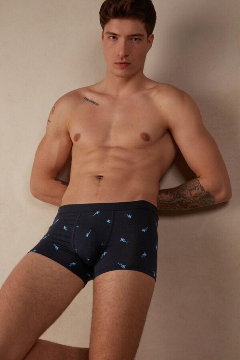 Boxer Barbati Intimissimi Shark in Stretch Supima® Bumbac Albastri Gri Inchis | RO YU2651