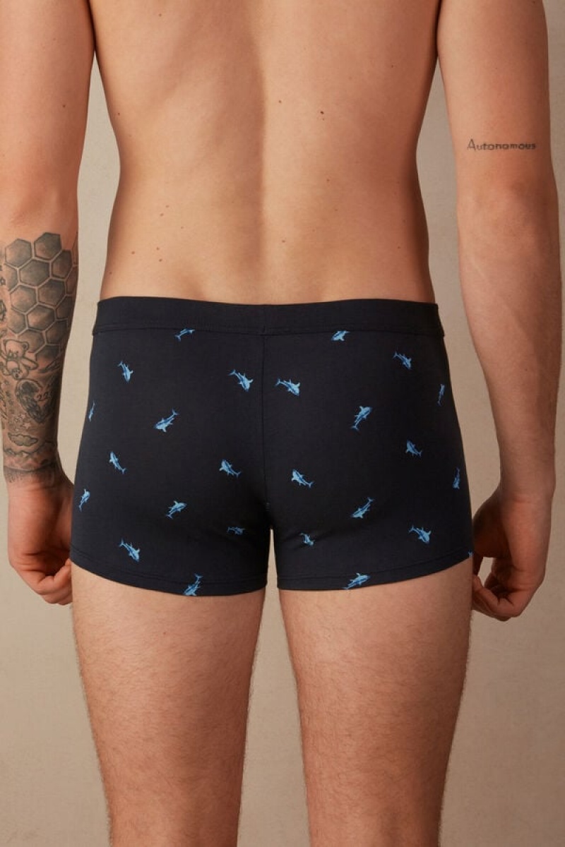 Boxer Barbati Intimissimi Shark in Stretch Supima® Bumbac Albastri Gri Inchis | RO YU2651