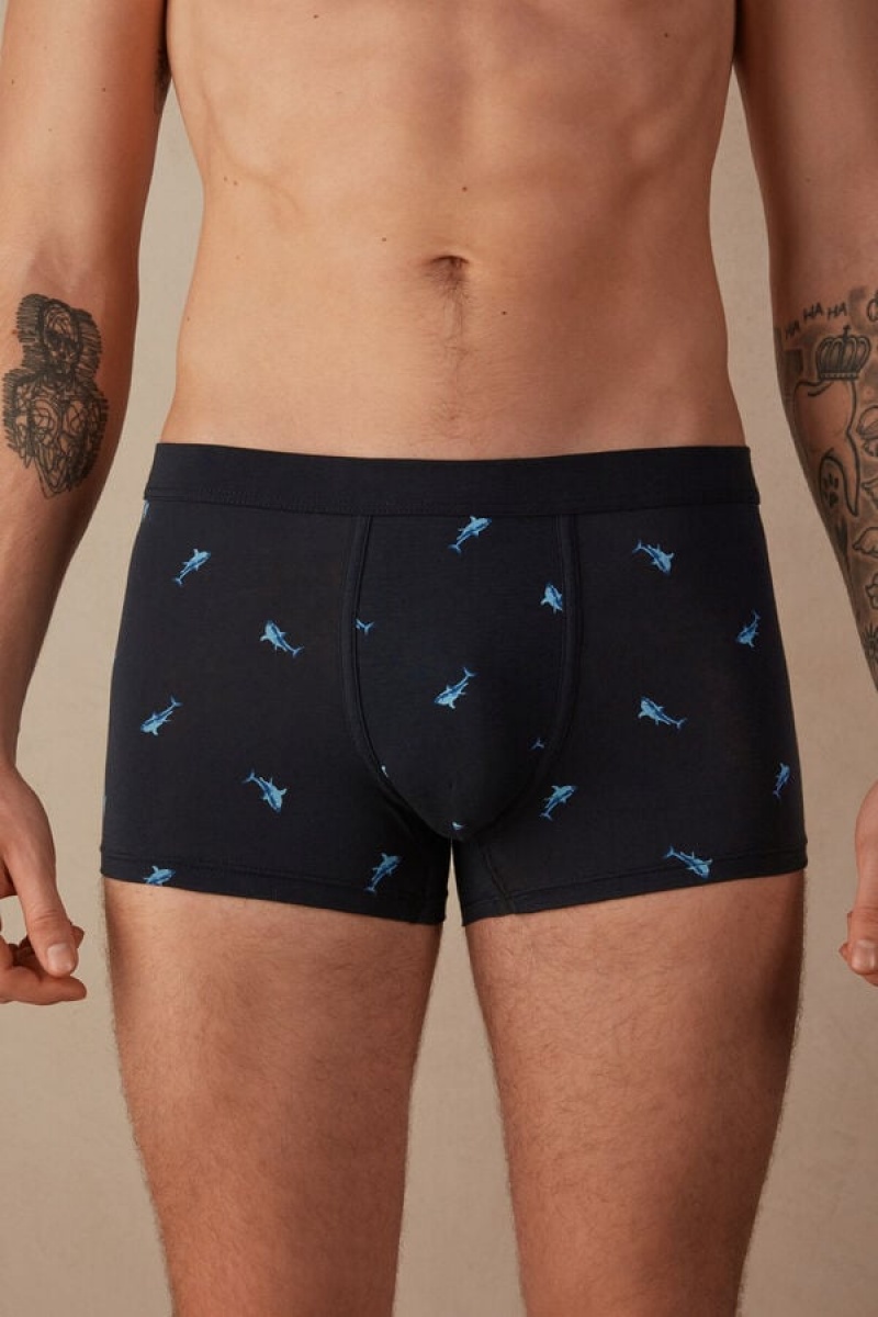 Boxer Barbati Intimissimi Shark in Stretch Supima® Bumbac Albastri Gri Inchis | RO YU2651