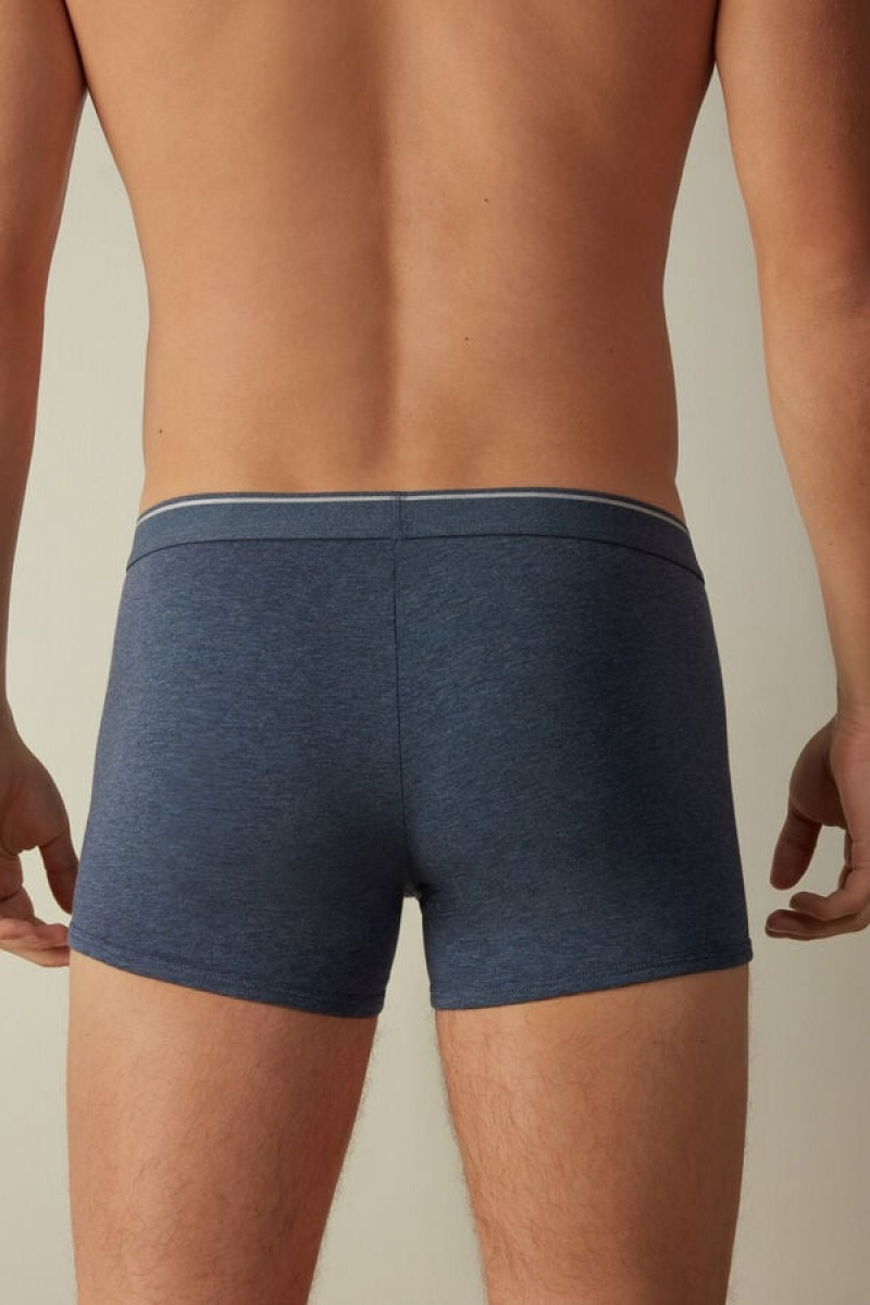 Boxer Barbati Intimissimi Supima® Bumbac Albastri Gri Deschis | RO UT2579