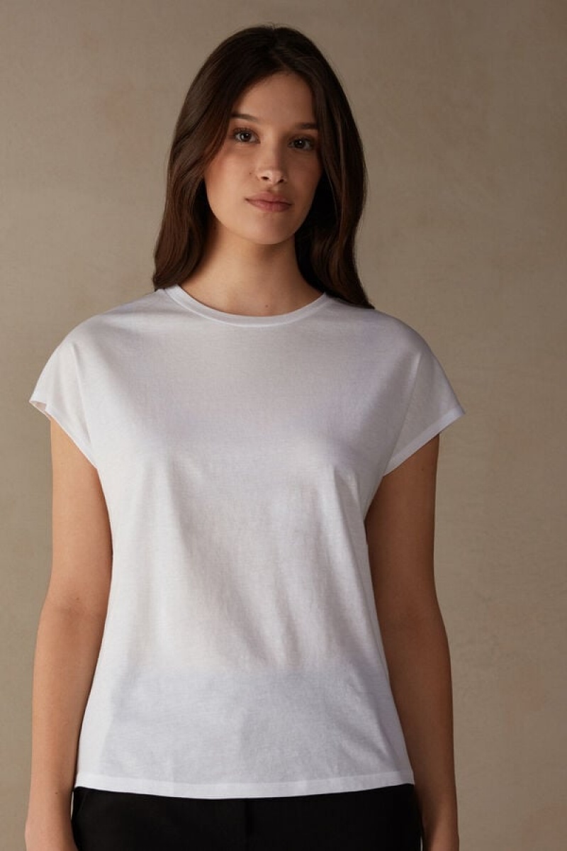 Short Sleeve Dama Intimissimi Crew Neck Top in Supima® Ultrafresh cotton Albi | RO GL1858